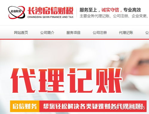 代理記賬服務 專業(yè)代辦，企業(yè)財務無憂
