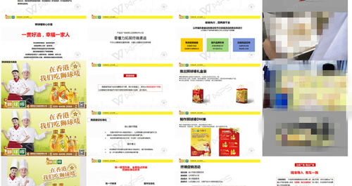 獅球嘜品牌策劃公司整合營(yíng)銷(xiāo)推廣方案