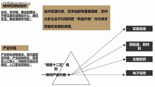常州恒生科技園項(xiàng)目市場(chǎng)營(yíng)銷(xiāo)策劃報(bào)告